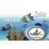 ZeoChem - Coral Rock - 10 Kg - Branch