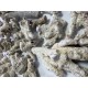 ZeoChem - Coral - Size: 2-6cm - 5 kg - Bio Filter and Ca Reactor Media ZeoChem - Coral - Size: 2-6cm - 5 kg - Bio Filter and Ca Reactor Media