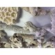 ZeoChem - Coral - Size: 2-6cm - 5 kg - Bio Filter and Ca Reactor Media ZeoChem - Coral - Size: 2-6cm - 5 kg - Bio Filter and Ca Reactor Media
