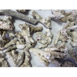ZeoChem - Coral - Size: 2-6cm - 5 kg - Bio Filter and Ca Reactor Media