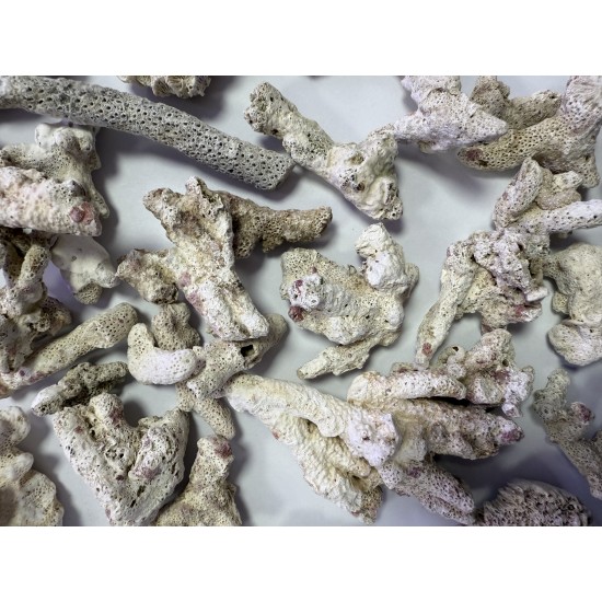 ZeoChem - Coral - Size: 2-6cm - 5 kg - Bio Filter and Ca Reactor Media ZeoChem - Coral - Size: 2-6cm - 5 kg - Bio Filter and Ca Reactor Media