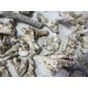 ZeoChem - Coral - Size: 2-6cm - 5 kg - Bio Filter and Ca Reactor Media ZeoChem - Coral - Size: 2-6cm - 5 kg - Bio Filter and Ca Reactor Media