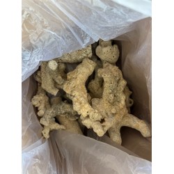 ZeoChem - Coral Rock - 10 Kg - Branch