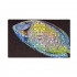 Flipper - Aquarium Mat ( Tang ) 45x75
