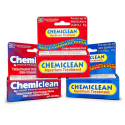 Boyd Enterprises - Chemi Clean Liquid - CCL02