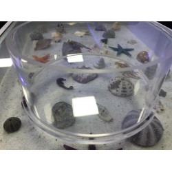 ZeoChem Coral Eye ( Mercan Gözetleme Camı ) 20 Cm