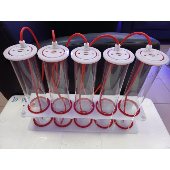 BAĞIMSIZ RENKLİ - 5 X 1 DOZAJ KABI