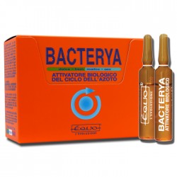 EQUO - BACTERYA ( BAKTERİ KÜLTÜRÜ )